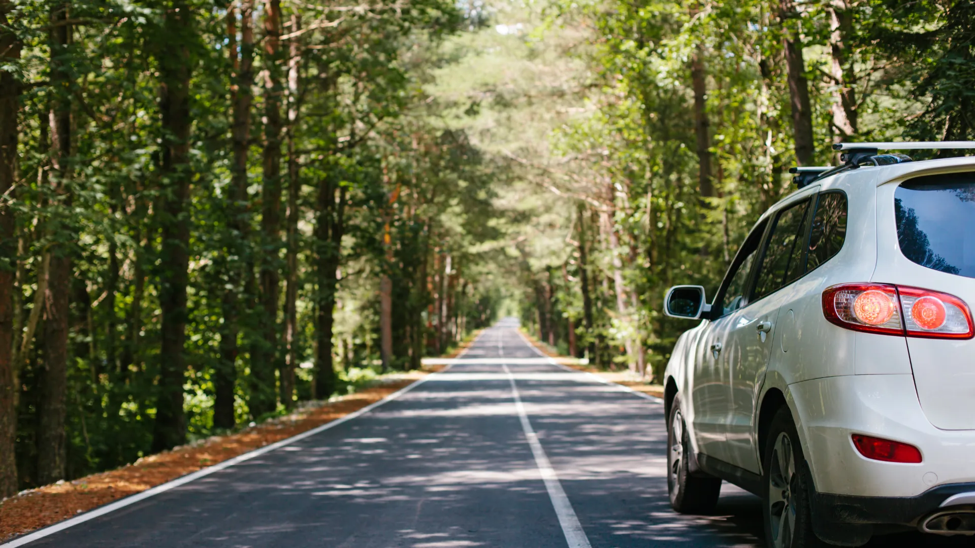 Blogbeitrag Bild Begleitetes Fahren 2